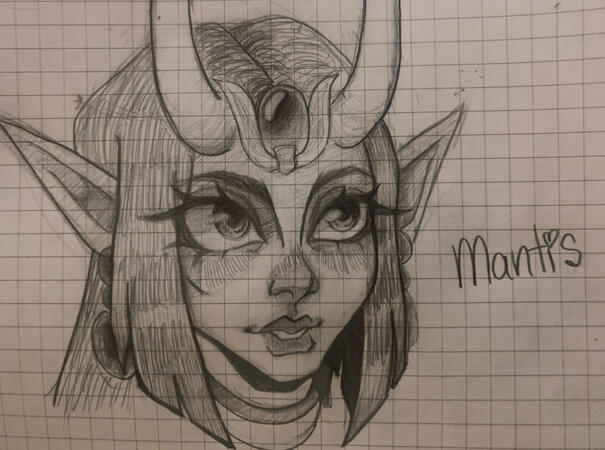 trad sketch of mantis
